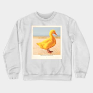 Duck à l'orange Crewneck Sweatshirt